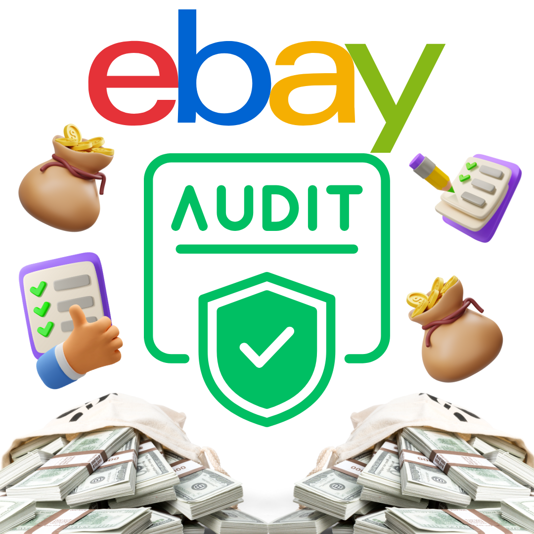 Ebay Platform Audit